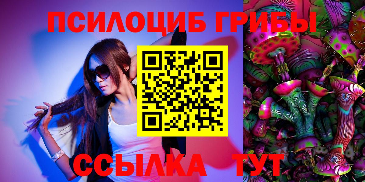 Галлюциногенные грибы Psilocybine cubensis  Вход с VPN  Павлово 